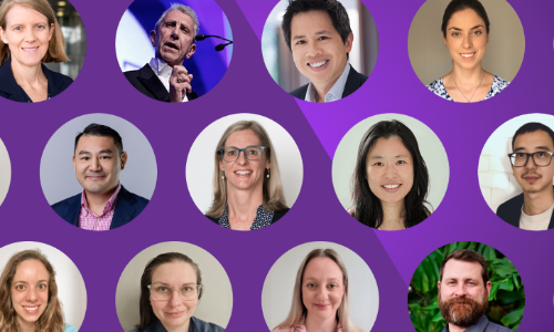 Introducing the ARC Portal team